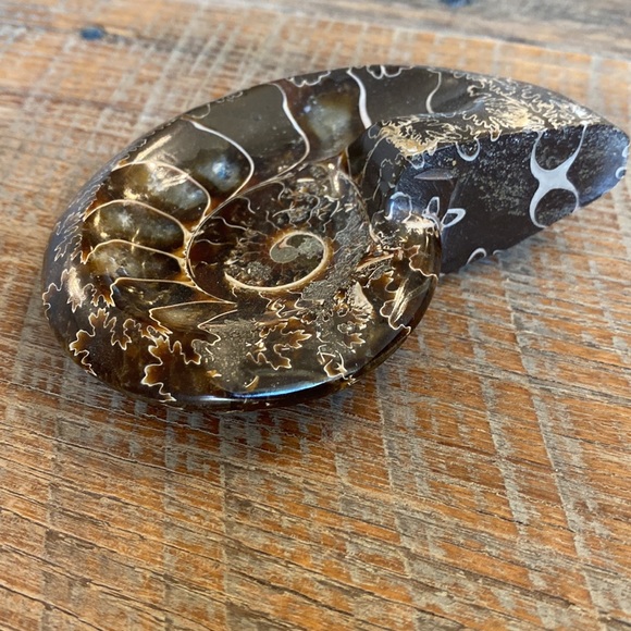 Ammonite fossil dish/bowl - Picture 3 of 5